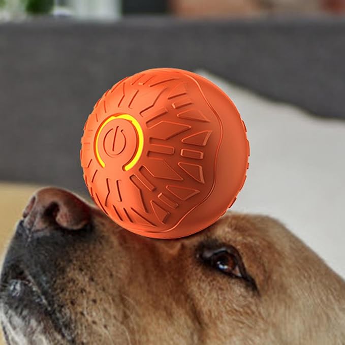 ZoomyBall™ Balle interactive pour chien et chat